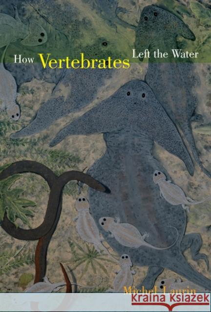 How Vertebrates Left the Water Michel Laurin 9780520266476 University of California Press - książka