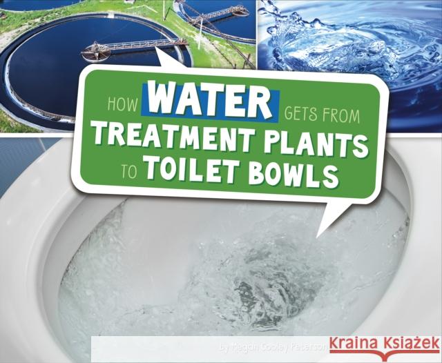 How Water Gets from Treatment Plants to Toilet Bowls Megan Cooley Peterson 9781474713207 Capstone Global Library Ltd - książka