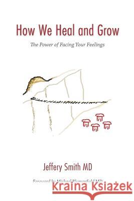 How We Heal and Grow: The Power of Facing Your Feelings Smith, Jeffery S. 9780989888103 Libentia Press - książka