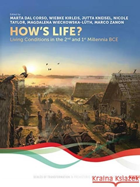 How's Life?: Living Conditions in the 2nd and 1st Millennia Bce Dal Corso, Marta 9789088908019 Sidestone Press - książka