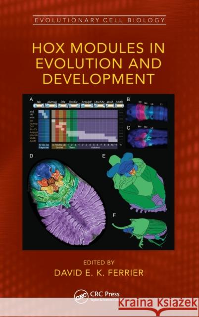 Hox Modules in Evolution and Development  9780367522582 Taylor & Francis Ltd - książka