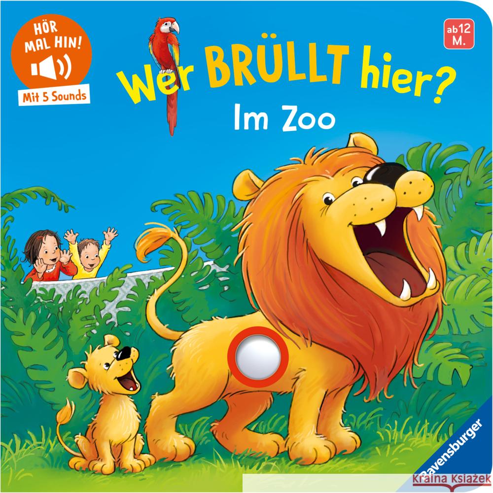 Hör mal hin - Wer brüllt hier? Im Zoo Höck, Maria 9783473421152 Ravensburger Verlag - książka