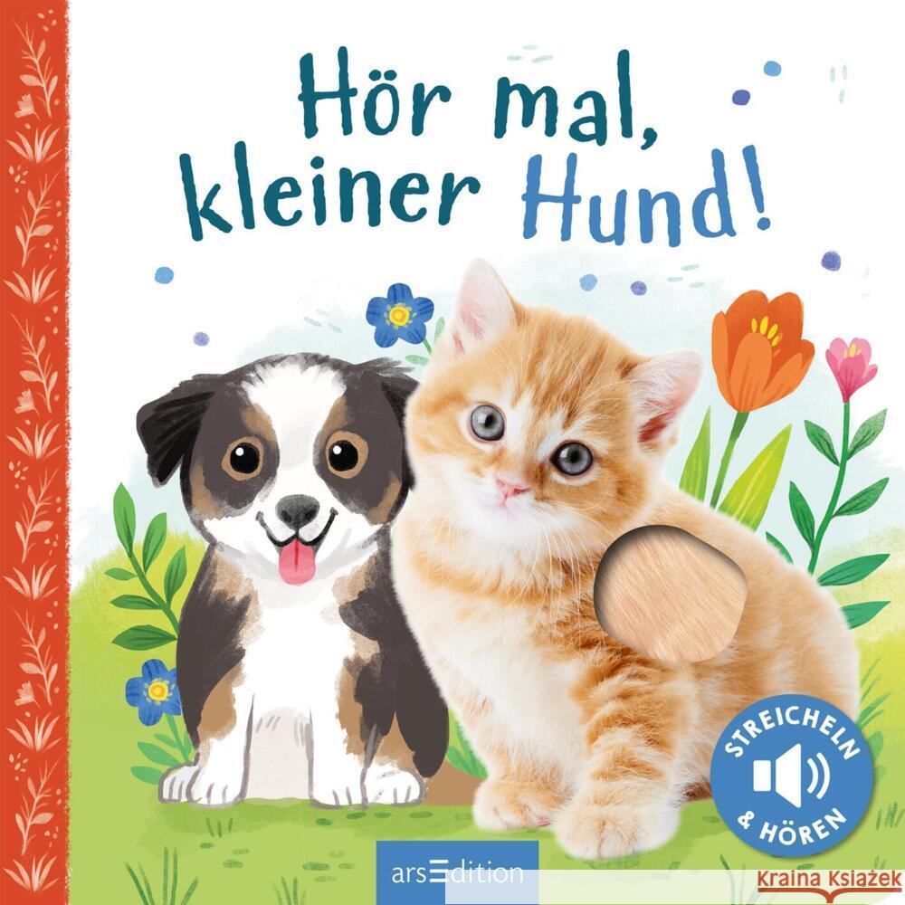 Hör mal, kleiner Hund!  9783845851587 ars edition - książka