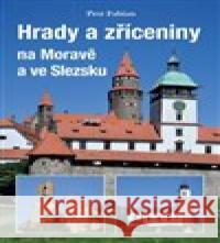 Hrady a zříceniny Moravy a Slezska Petr Fabian 9788074284335 Plot - książka