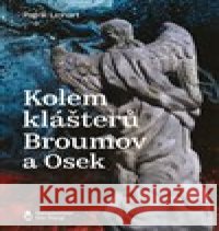 Hraniční světla Patrik Linhart 9788088482109 Štengl Petr - książka