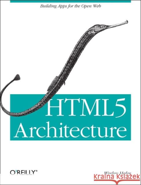 Html5 and JavaScript Web Apps: Bridging the Gap Between the Web and the Mobile Web Hales, Wesley 9781449320515  - książka