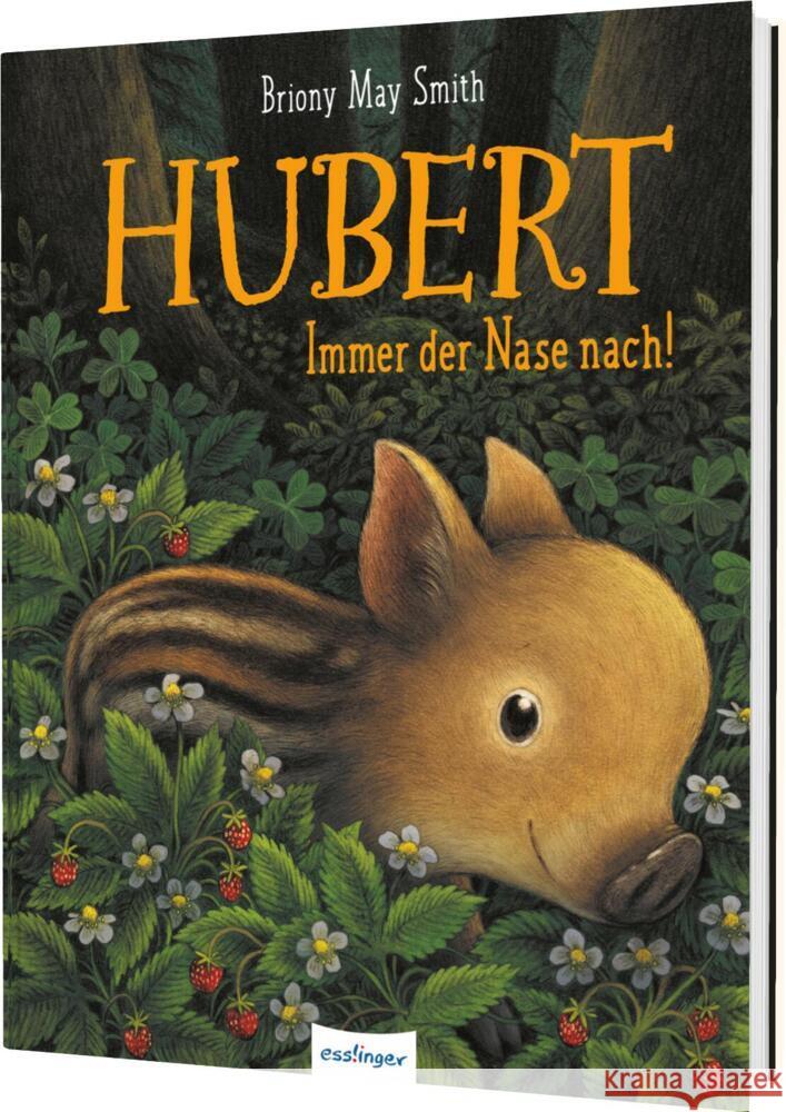 Hubert Smith, Briony May 9783480241019 Esslinger in der Thienemann-Esslinger Verlag  - książka