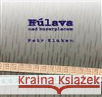 Húlava nad buzerplacem Petr Klukan 9788090876477 Dobrý důvod - książka
