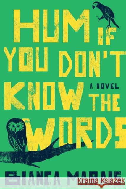 Hum If You Don't Know the Words Bianca Marais 9780399575082 Putnam Publishing Group,U.S. - książka