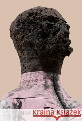 Huma Bhabha Tausif Noor 9781644231661 David Zwirner - książka