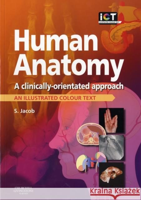 Human Anatomy: A Clinically-Orientated Approach Jacob, Sam 9780443103735  - książka