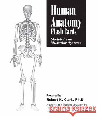 Human Anatomy Flash Cards: Skeletal and Muscular Systems: Skeletal and Muscular Systems Clark, Robert K. 9780763735159 Jones & Bartlett Publishers - książka