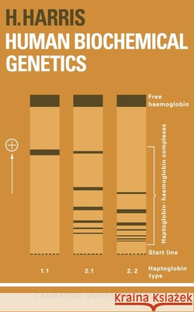 Human Biochemical Genetics Hopkins Harris Harris                                   H. Harris 9780521093927 Cambridge University Press - książka