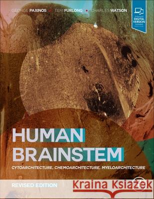 Human Brainstem: Cytoarchitecture, Chemoarchitecture, Myeloarchitecture George Paxinos Teri Furlong Charles Watson 9780128216071 Academic Press - książka