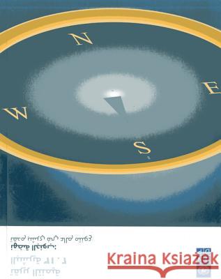 Human Development Report 2013 (Arabic): The Rise of the Global South - Human Progress in a Diverse World United Nations 9789216260156  - książka