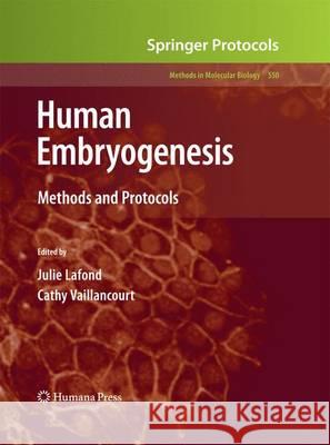 Human Embryogenesis: Methods and Protocols LaFond, Julie 9781627038324 Humana Press - książka