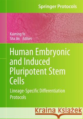 Human Embryonic and Induced Pluripotent Stem Cells: Lineage-Specific Differentiation Protocols Ye, Kaiming 9781617792663 Not Avail - książka