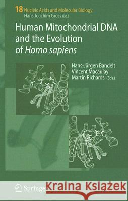 Human Mitochondrial DNA and the Evolution of Homo Sapiens Bandelt, Hans-Jürgen 9783540317883 Springer - książka