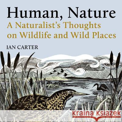 Human, Nature: A Naturalist's Thoughts on Wildlife and Wild Places Ian Carter   9781784272609 Pelagic Publishing - książka