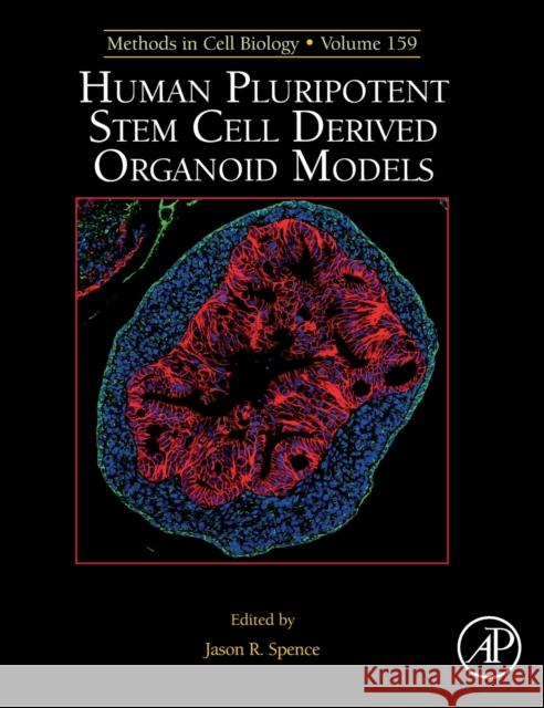 Human Pluripotent Stem Cell Derived Organoid Models: Volume 159 Spence, J. 9780128215319 Academic Press - książka