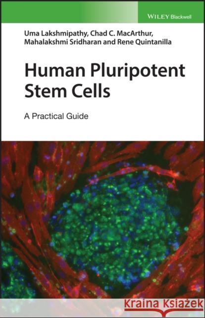 Human Pluripotent Stem Cells: A Practical Guide Uma Lakshmipathy 9781119394334 Wiley-Blackwell - książka