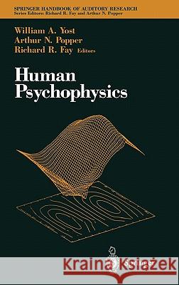 Human Psychophysics William A. Yost Arthur N. Popper Richard R. Fay 9780387978406 Springer - książka