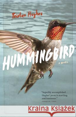 Hummingbird Tristan Hughes 9780995994607 Locarno Press - książka