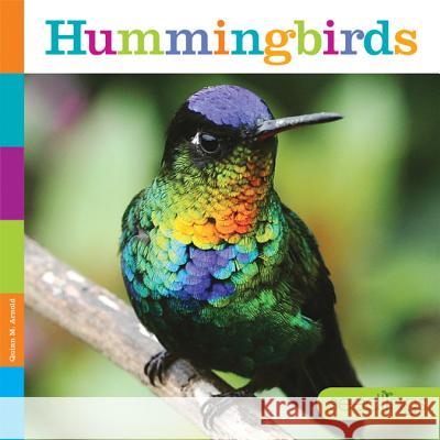Hummingbirds Quinn M. Arnold 9781628323337 Creative Paperbacks - książka