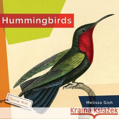 Hummingbirds Melissa Gish 9781682771556 Creative Paperbacks - książka