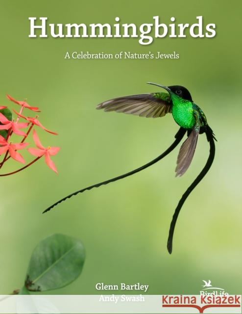 Hummingbirds: A Celebration of Nature's Jewels Glenn Bartley Andy Swash 9780691182124 Princeton University Press - książka