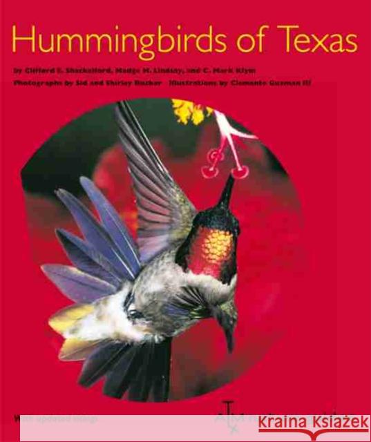 Hummingbirds of Texas: With Their New Mexico and Arizona Ranges Shackelford, Clifford E. 9781603441100 Texas A&M University Press - książka