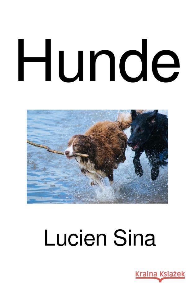 Hunde Sina, Lucien 9783818730635 epubli - książka