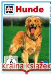 Hunde, 1 DVD : Klug, treu, Freunde!. Zweisprachig: Deutsch und Englisch  9783788642563 Tessloff - książka