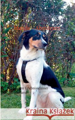 Hunde - Abenteuer: Amüsante Erlebnisse einer Hundedame Groß, C. M. 9783738606515 Books on Demand - książka