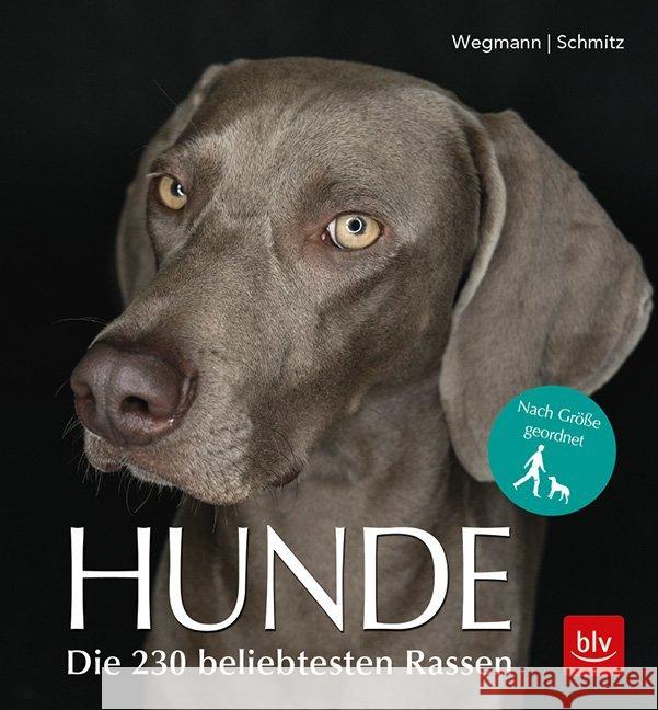 Hunde : Die 230 beliebtesten Rassen Wegmann, Angela; Schmitz, Siegfried 9783835418561 BLV Buchverlag - książka