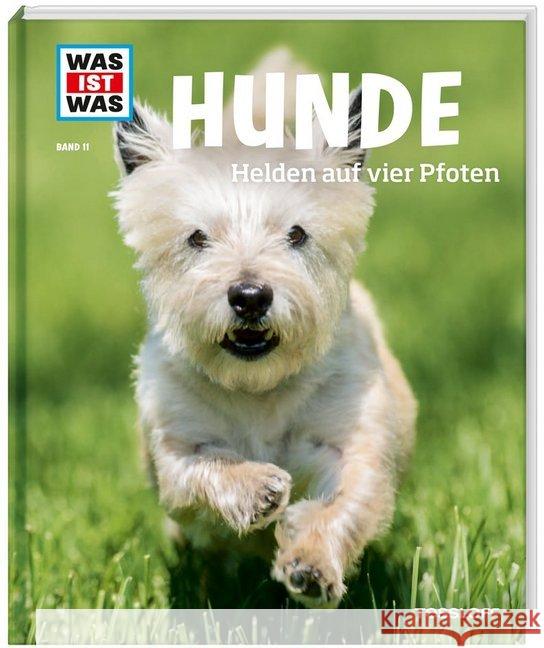 Hunde. Helden auf vier Pfoten Paxmann, Christine 9783788620417 Tessloff - książka