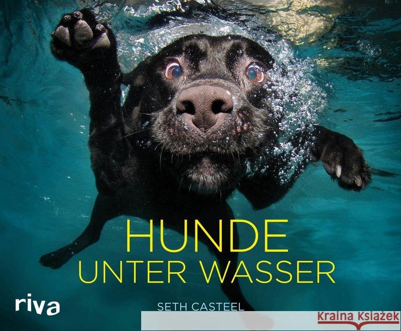 Hunde unter Wasser Casteel, Seth 9783742311740 riva Verlag - książka