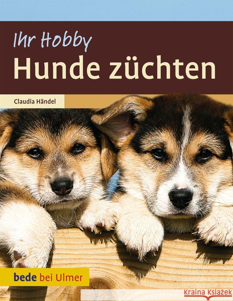 Hunde züchten Händel, Claudia 9783800176175 Ulmer (Eugen) - książka
