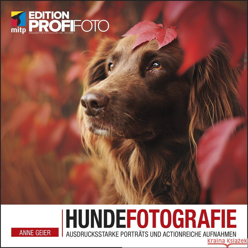 Hundefotografie Geier, Anne 9783747501825 MITP - książka