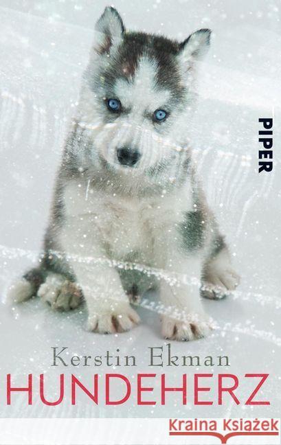 Hundeherz Ekman, Kerstin 9783492502993 Piper Schicksalsvoll - książka