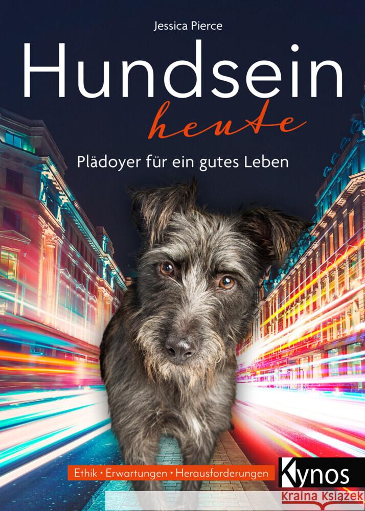 Hundsein heute Pierce, Jessica 9783954643349 Kynos - książka