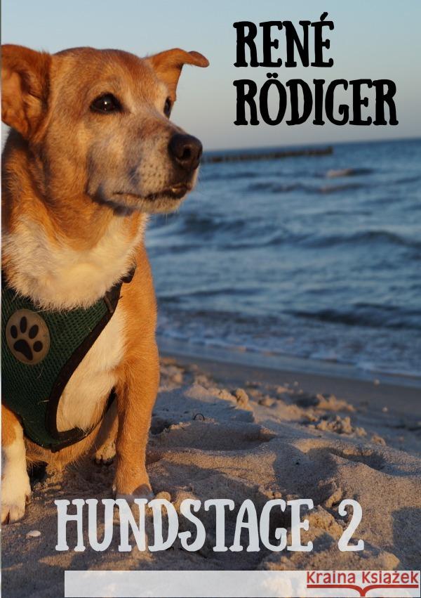 Hundstage 2 Rödiger, René 9783758419386 epubli - książka