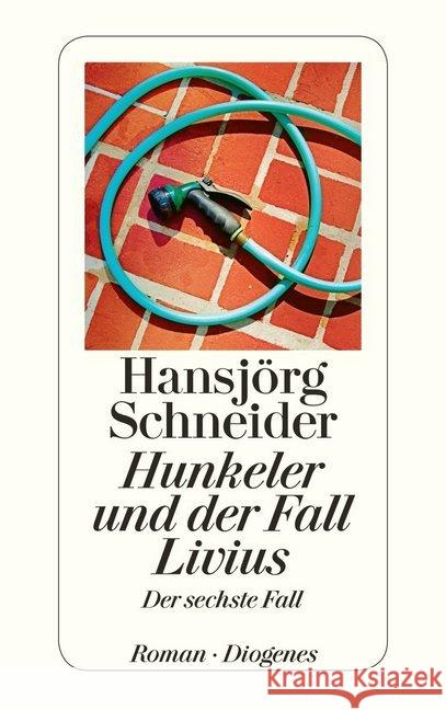 Hunkeler und der Fall Livius : Der sechste Fall Schneider, Hansjörg 9783257243284 Diogenes - książka