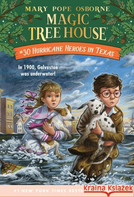 Hurricane Heroes in Texas Mary Pope Osborne Ag Ford 9781524713157 Random House USA Inc - książka