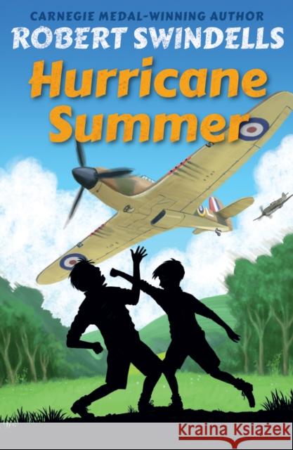 Hurricane Summer Swindells, Robert 9781782701613 Award Publications Ltd - książka