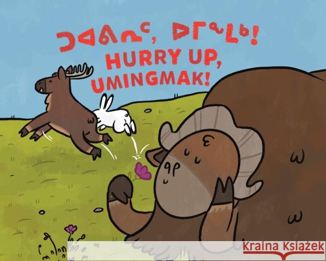 Hurry Up, Umingmak!: Bilingual Inuktitut and English Edition Rachel Rupke Ali Hinch 9781774502624 Inhabit Education Books Inc. - książka