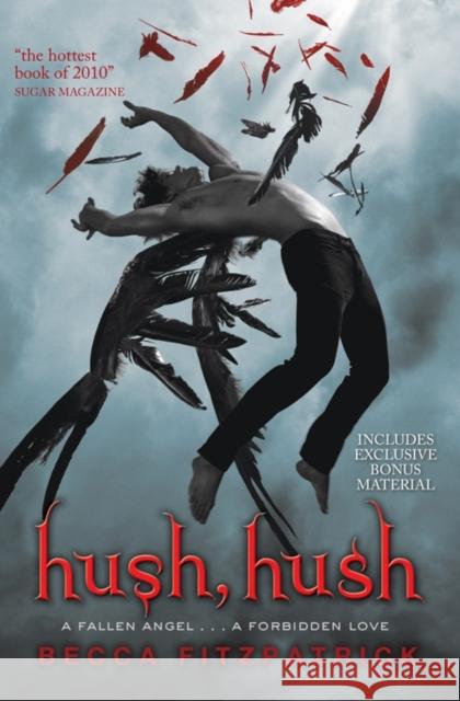 Hush, Hush Becca Fitzpatrick 9781847386960 Simon & Schuster Ltd - książka