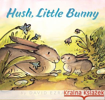 Hush, Little Bunny Stein, David Ezra 9780062845238 Balzer & Bray/Harperteen - książka