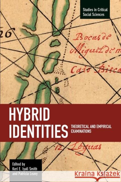 Hybrid Identities: Theoretical and Empirical Examinations Iyall Smith, Keri E. 9781608460359 Haymarket Books - książka