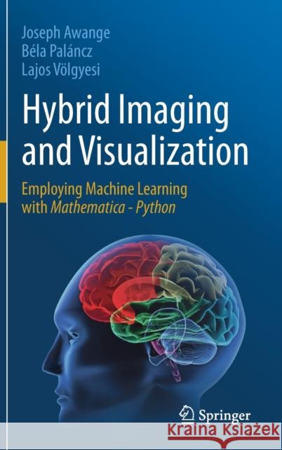 Hybrid Imaging and Visualization: Employing Machine Learning with Mathematica - Python Awange, Joseph 9783030261528 Springer - książka